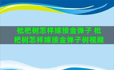 枇杷树怎样嫁接金弹子 枇杷树怎样嫁接金弹子树视频